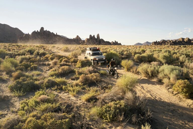 The Essentials of Blogging: Tips and Strategies for Success